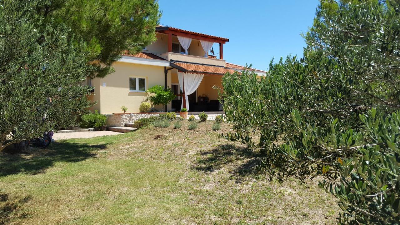 Resort Apartment Petrovic Šibenik Eksteriør billede