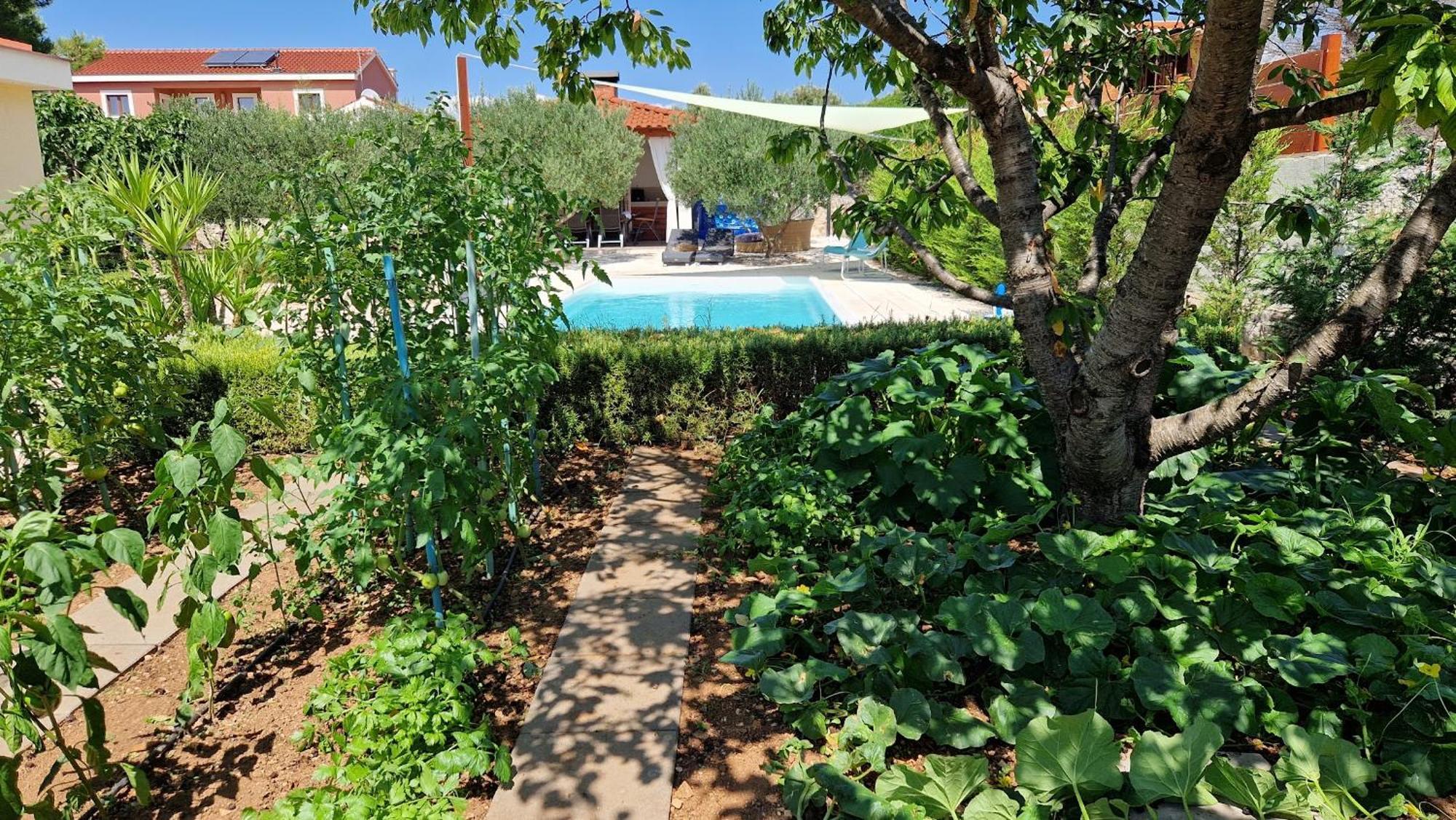 Resort Apartment Petrovic Šibenik Eksteriør billede